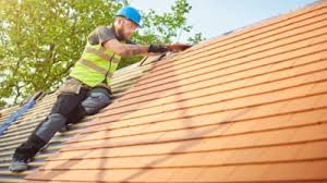 Best Skylight Installation and Repair  in Mount Vernon, TX