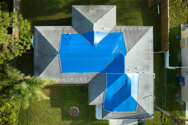 Best Green or Eco-Friendly Roofing Solutions  in Mount Vernon, TX