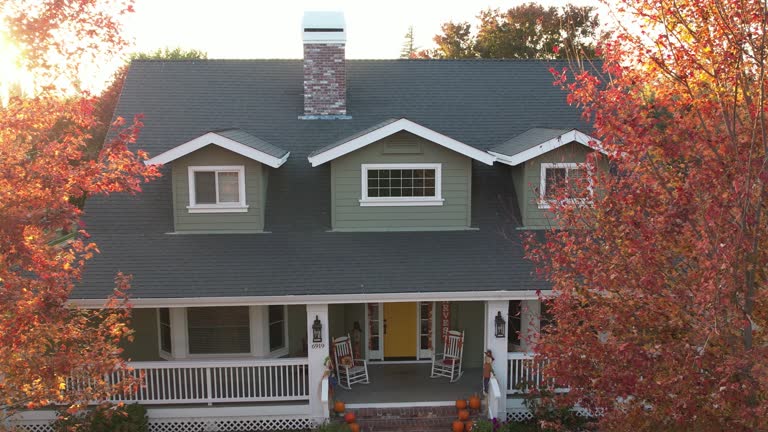 Best Asphalt Shingle Roofing  in Mount Vernon, TX